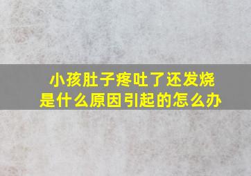 小孩肚子疼吐了还发烧是什么原因引起的怎么办