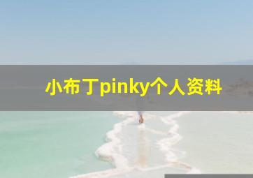 小布丁pinky个人资料