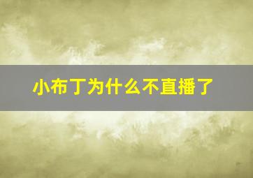 小布丁为什么不直播了