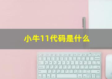 小牛11代码是什么