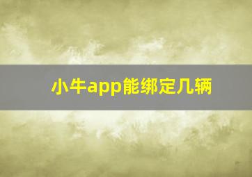 小牛app能绑定几辆