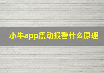 小牛app震动报警什么原理