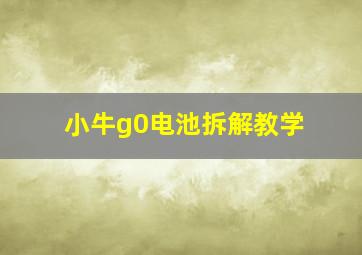 小牛g0电池拆解教学