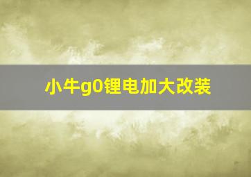 小牛g0锂电加大改装