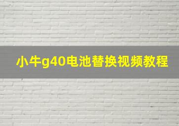 小牛g40电池替换视频教程