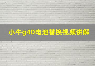 小牛g40电池替换视频讲解