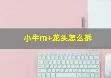 小牛m+龙头怎么拆