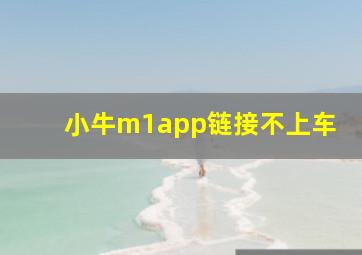 小牛m1app链接不上车