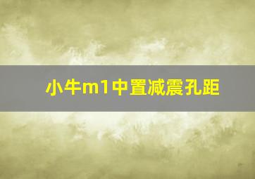 小牛m1中置减震孔距