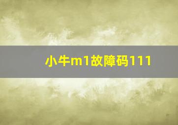 小牛m1故障码111