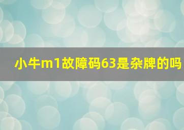 小牛m1故障码63是杂牌的吗