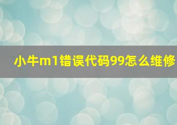 小牛m1错误代码99怎么维修