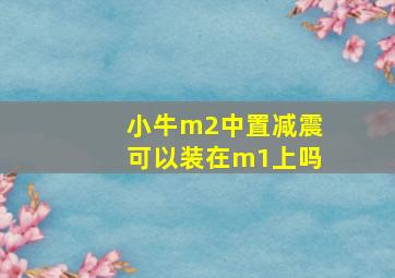 小牛m2中置减震可以装在m1上吗