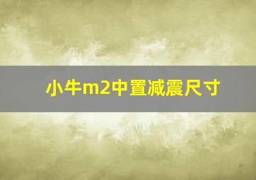 小牛m2中置减震尺寸