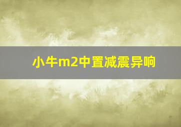 小牛m2中置减震异响