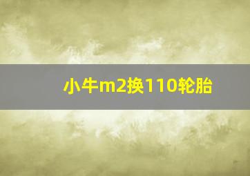 小牛m2换110轮胎