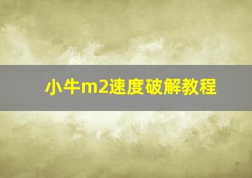 小牛m2速度破解教程