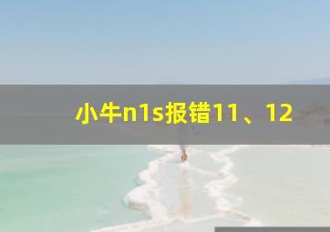 小牛n1s报错11、12