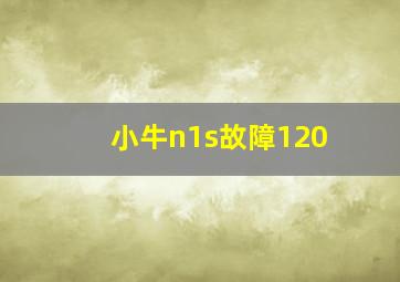 小牛n1s故障120