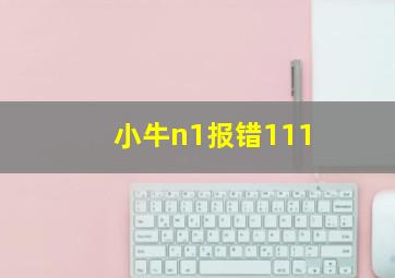 小牛n1报错111