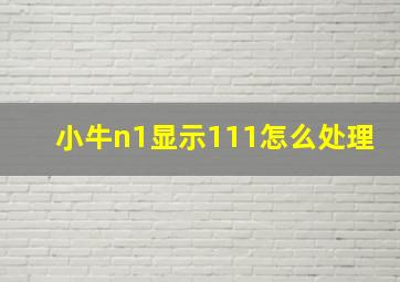 小牛n1显示111怎么处理