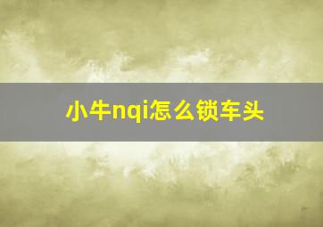 小牛nqi怎么锁车头