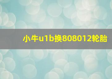 小牛u1b换808012轮胎