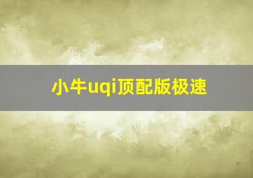 小牛uqi顶配版极速