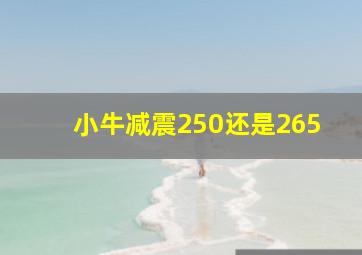 小牛减震250还是265