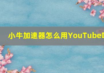 小牛加速器怎么用YouTube吗