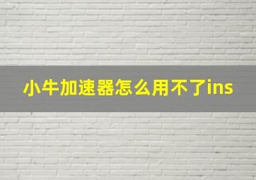 小牛加速器怎么用不了ins