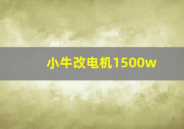 小牛改电机1500w