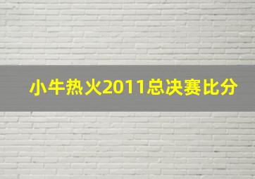 小牛热火2011总决赛比分