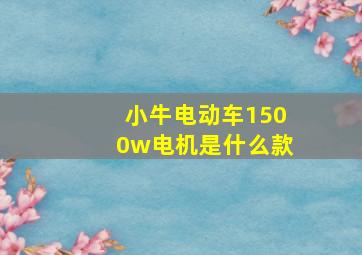 小牛电动车1500w电机是什么款