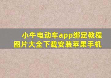 小牛电动车app绑定教程图片大全下载安装苹果手机