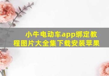 小牛电动车app绑定教程图片大全集下载安装苹果