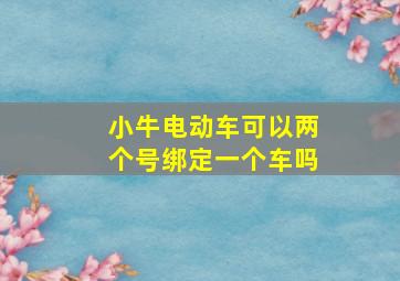 小牛电动车可以两个号绑定一个车吗