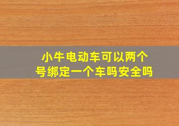 小牛电动车可以两个号绑定一个车吗安全吗