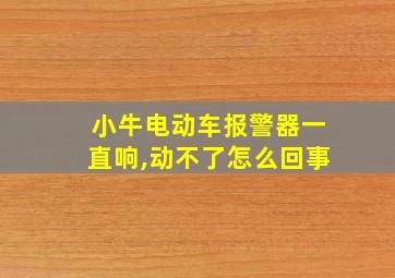 小牛电动车报警器一直响,动不了怎么回事