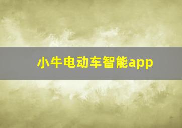 小牛电动车智能app