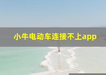 小牛电动车连接不上app