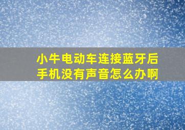 小牛电动车连接蓝牙后手机没有声音怎么办啊