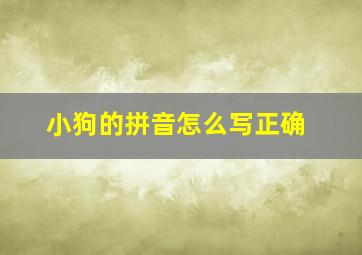 小狗的拼音怎么写正确