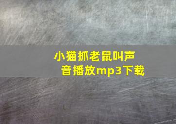 小猫抓老鼠叫声音播放mp3下载