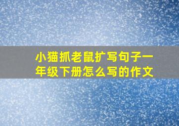 小猫抓老鼠扩写句子一年级下册怎么写的作文