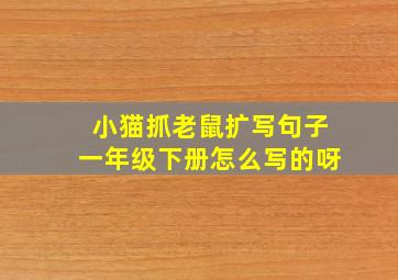 小猫抓老鼠扩写句子一年级下册怎么写的呀