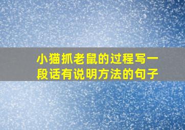 小猫抓老鼠的过程写一段话有说明方法的句子