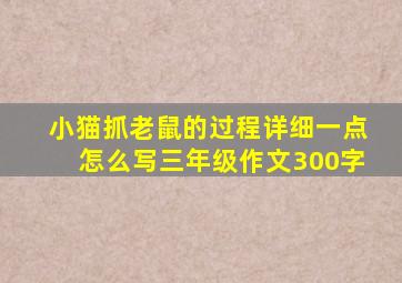 小猫抓老鼠的过程详细一点怎么写三年级作文300字