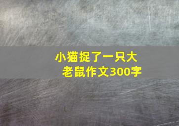 小猫捉了一只大老鼠作文300字