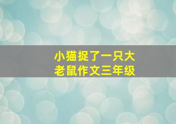 小猫捉了一只大老鼠作文三年级